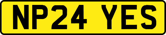 NP24YES