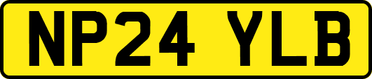 NP24YLB