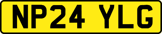 NP24YLG