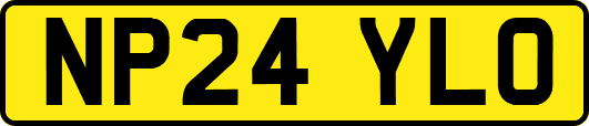 NP24YLO
