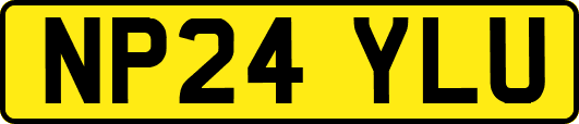 NP24YLU