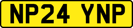 NP24YNP