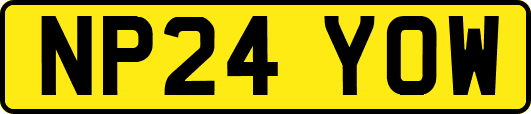 NP24YOW