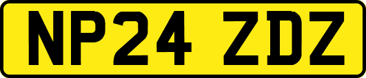 NP24ZDZ