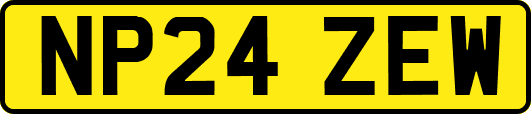 NP24ZEW