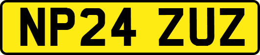 NP24ZUZ