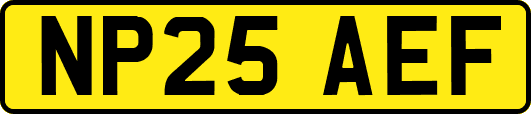 NP25AEF