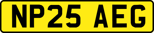 NP25AEG