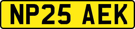 NP25AEK
