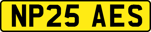 NP25AES