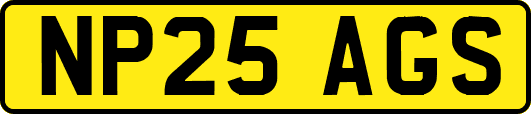 NP25AGS