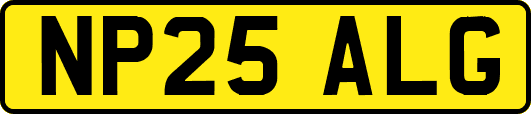 NP25ALG