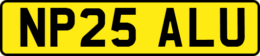 NP25ALU