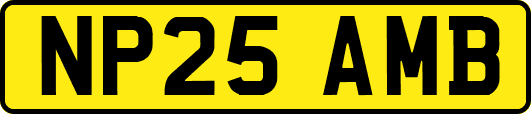 NP25AMB