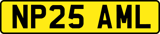 NP25AML