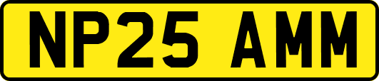 NP25AMM