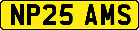 NP25AMS