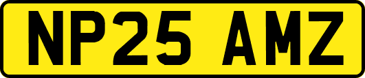 NP25AMZ