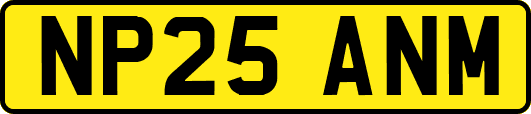 NP25ANM