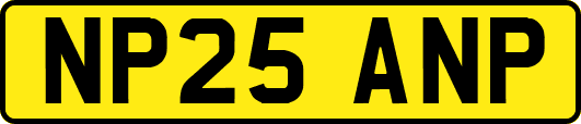 NP25ANP