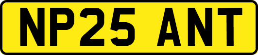 NP25ANT