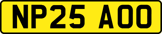 NP25AOO