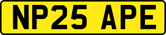 NP25APE