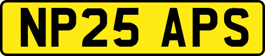 NP25APS