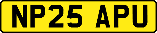 NP25APU