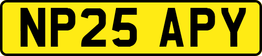 NP25APY