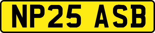 NP25ASB