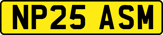 NP25ASM