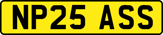 NP25ASS