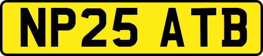 NP25ATB
