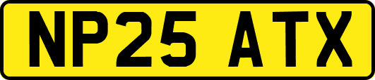 NP25ATX