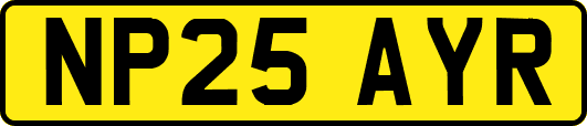 NP25AYR