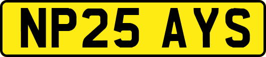 NP25AYS