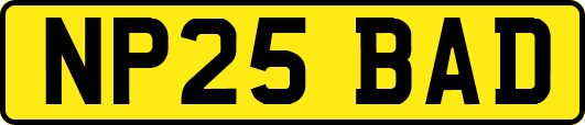 NP25BAD