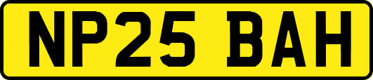 NP25BAH