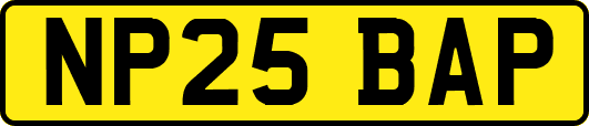 NP25BAP