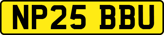 NP25BBU