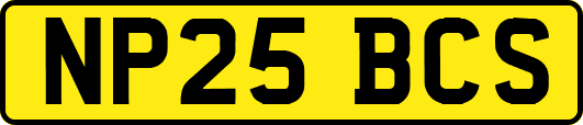 NP25BCS