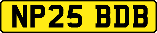 NP25BDB
