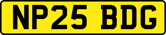 NP25BDG