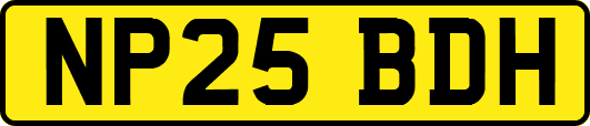 NP25BDH