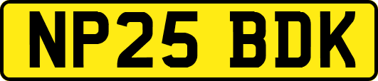NP25BDK
