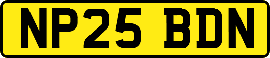 NP25BDN