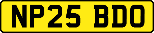 NP25BDO