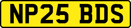 NP25BDS
