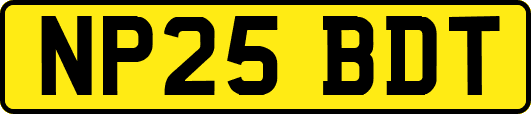 NP25BDT